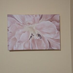ArtWall Cora Niele "Pastel" Gallery Wrapped Canvas Wall Art 12" x 18"